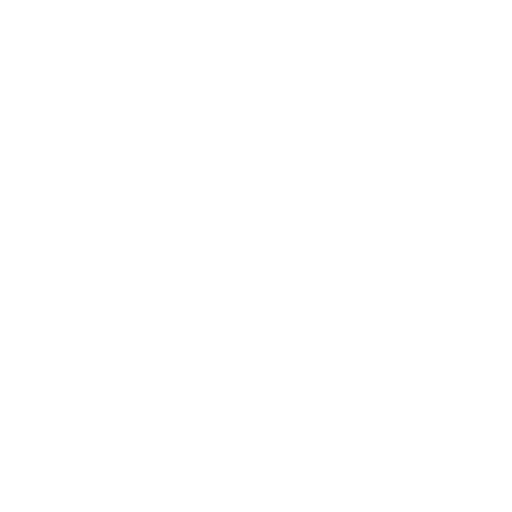 Logo BOKS